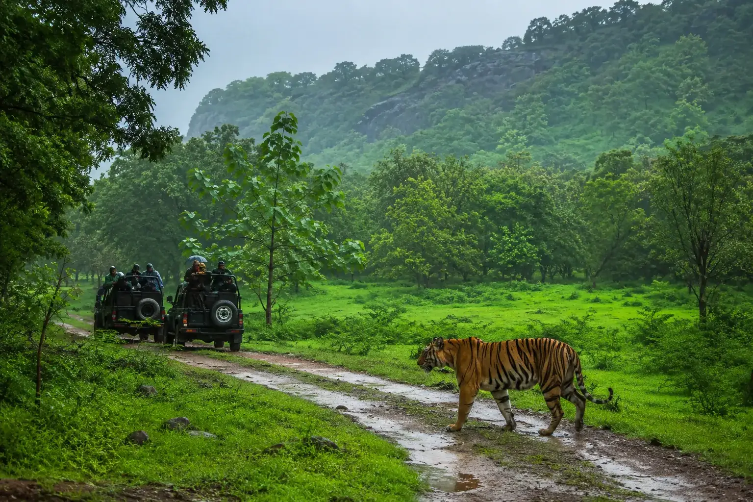 Ranthambore During Monsoon